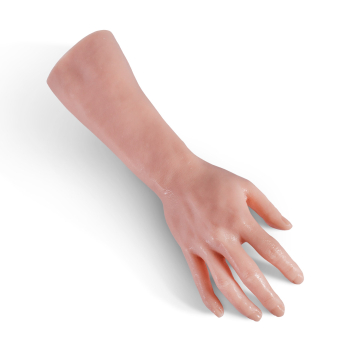 Body Parts - Main + Avant-Bras Droits